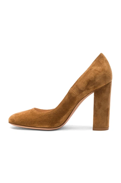 Shop Gianvito Rossi Suede Chunky Heels In Brown