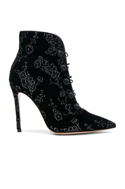 Shop Gianvito Rossi Embroidered Silk & Crepe Satin Empress Velvet Booties In Black,floral