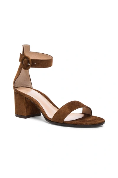 Shop Gianvito Rossi Suede Sandals In Brown