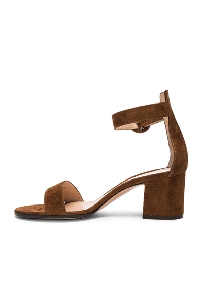 Shop Gianvito Rossi Suede Sandals In Brown