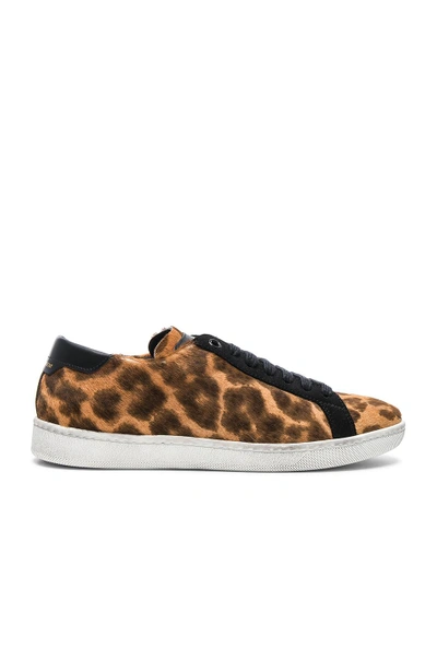 Shop Saint Laurent Pony Hair & Suede Court Classic Sneakers In Brown,animal Print