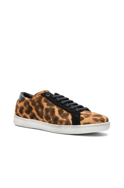 Shop Saint Laurent Pony Hair & Suede Court Classic Sneakers In Brown,animal Print