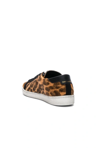 Shop Saint Laurent Pony Hair & Suede Court Classic Sneakers In Brown,animal Print