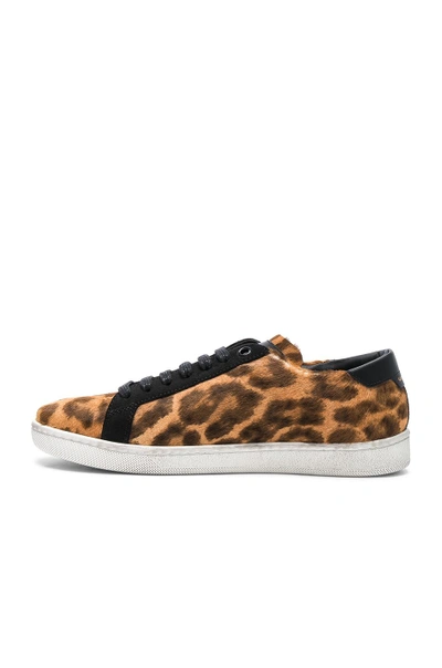 Shop Saint Laurent Pony Hair & Suede Court Classic Sneakers In Brown,animal Print