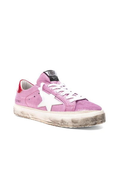 Shop Golden Goose Glitter May Sneakers In Pink,metallics