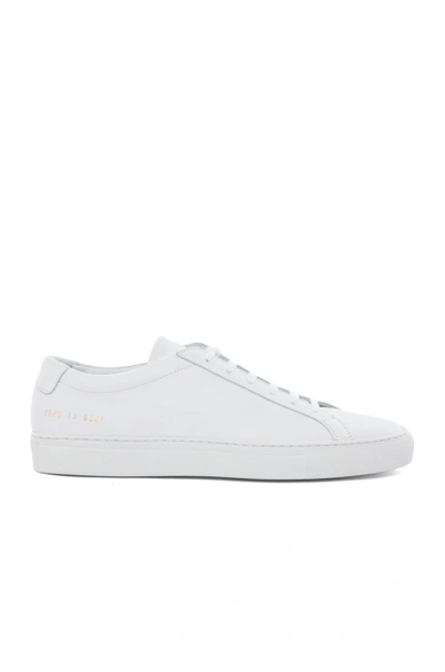 Common Projects White Lace Up Sneakers In White