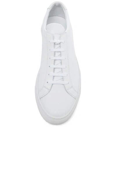 Common Projects White Lace Up Sneakers In White