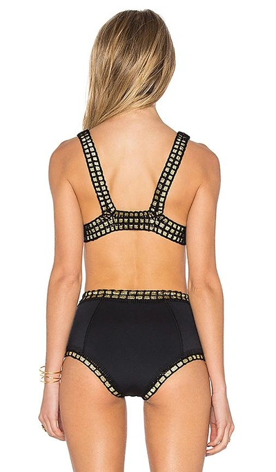 Shop Kiini Chacha Bikini Top In Black & Gold