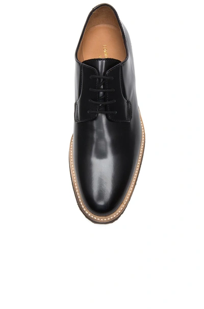 Shop Common Projects Leather Derby Shine In Black