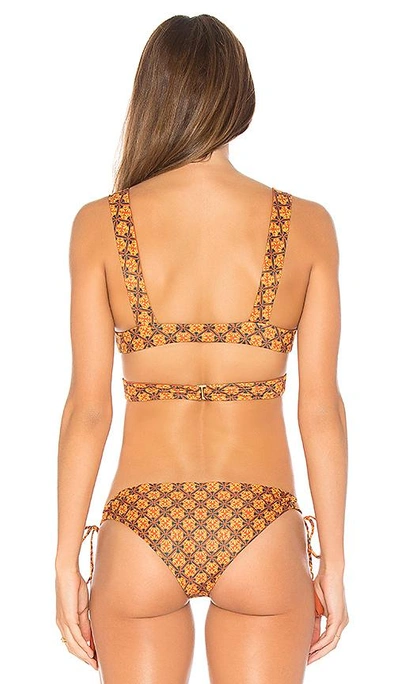 Shop Mia Marcelle Charlie Bikini Top In Tile Curry