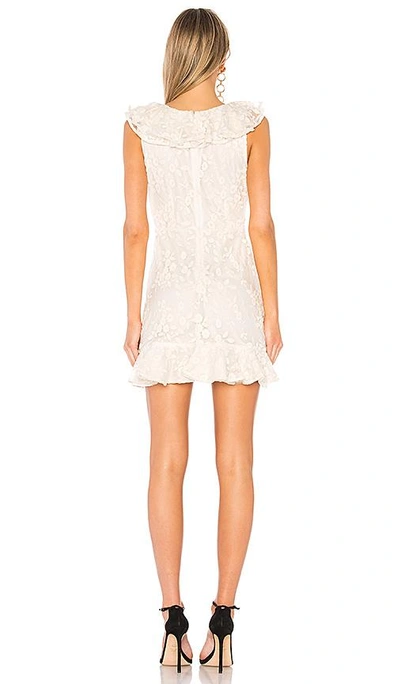 Shop Bb Dakota Harlow Dress In Ivory