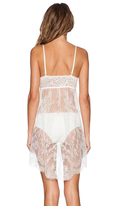Shop Hanky Panky Victoria Lace Chemise With G-string In Light Ivory