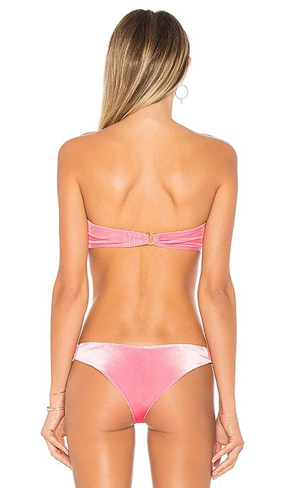 Shop Reina Olga Rio Bikini Top In Pink