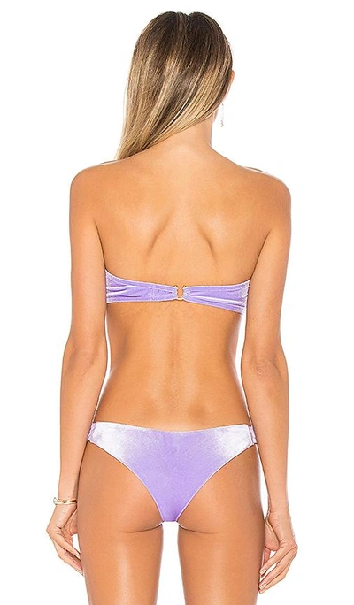 Shop Reina Olga Rio Bikini Top In Purple