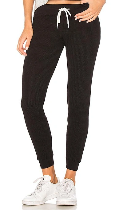 Shop Monrow Waffle Cuff Sweatpant In Black