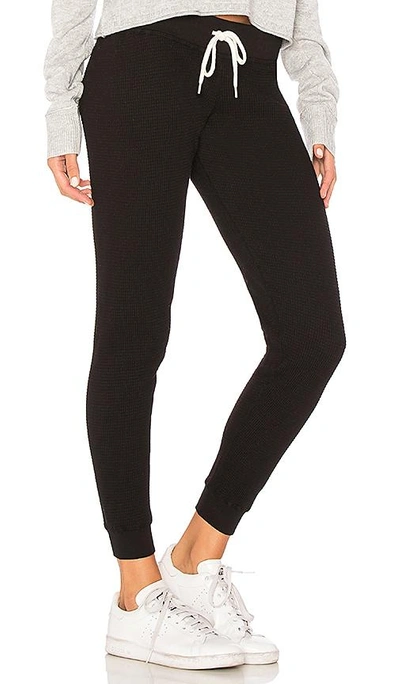 Shop Monrow Waffle Cuff Sweatpant In Black