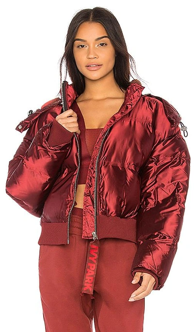 Shop Ivy Park Cropped Shine Puffer In Burgundy