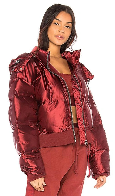 Shop Ivy Park Cropped Shine Puffer In Burgundy