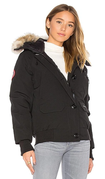 Shop Canada Goose Chilliwack Bomber In Black