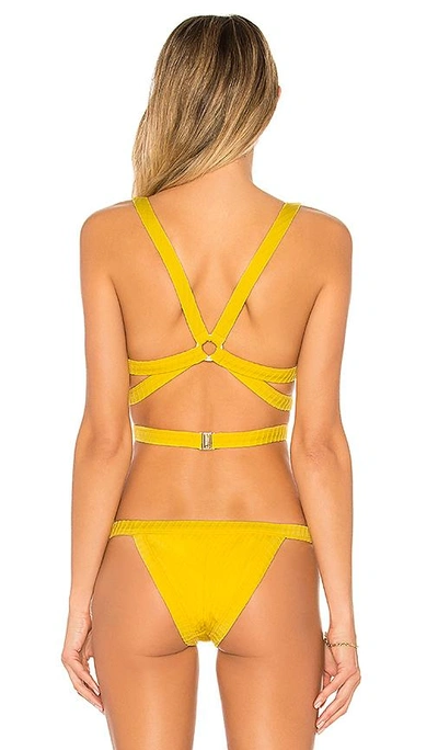 Shop F E L L A Mr Ripley Bikini Top In Yellow