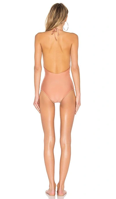 Shop Adriana Degreas Halter Neck One Piece In Rose