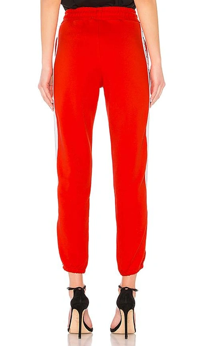 Shop Msgm Track Pant In Red