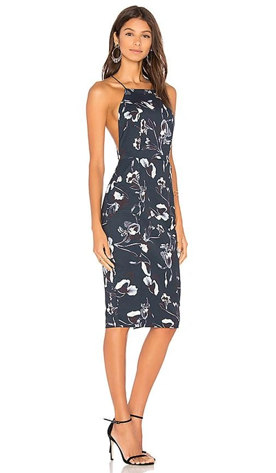 Shop Airlie Isolla Dress In Navy