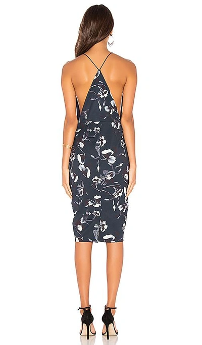 Shop Airlie Isolla Dress In Navy