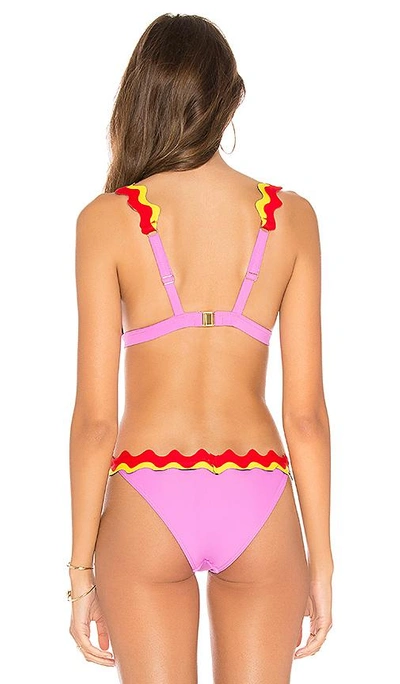 Shop Rye Giggles Bikini Top In Pink