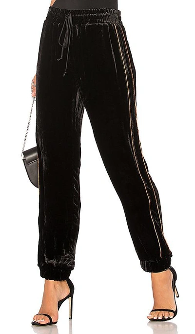 Shop Ei8ht Dreams Velvet Drawstring Jogger Pants In Black