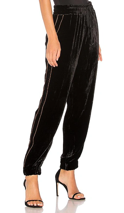 Shop Ei8ht Dreams Velvet Drawstring Jogger Pants In Black