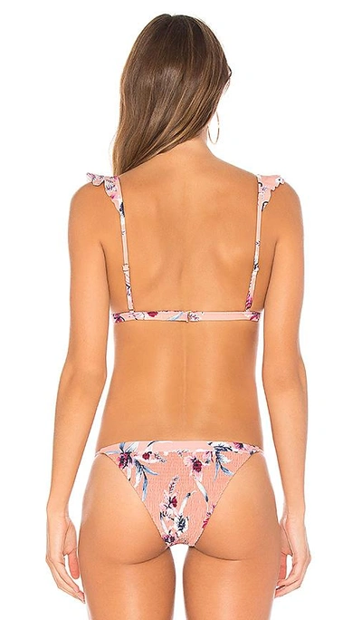 Shop Tori Praver Swimwear Adriana Bikini Top In Pink