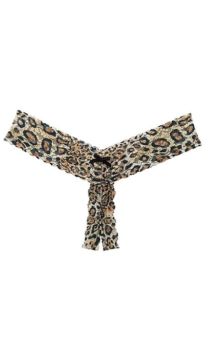 Shop Hanky Panky After Midnight Racy Leopard Thong In Brown & Black