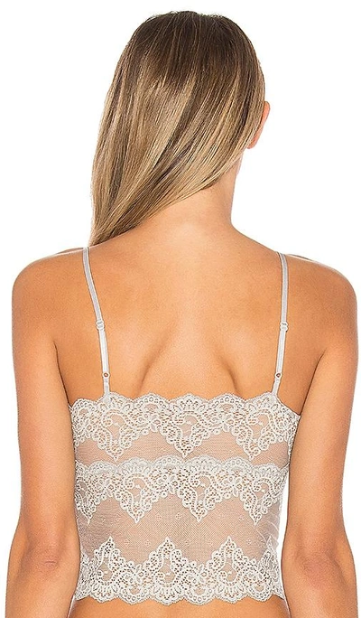 Shop Only Hearts So Fine Lace Cami In Gray