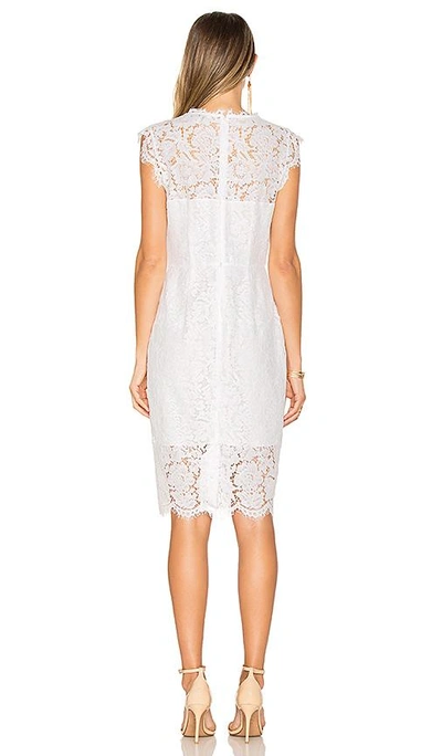 Shop Rachel Zoe Suzette Dress In White