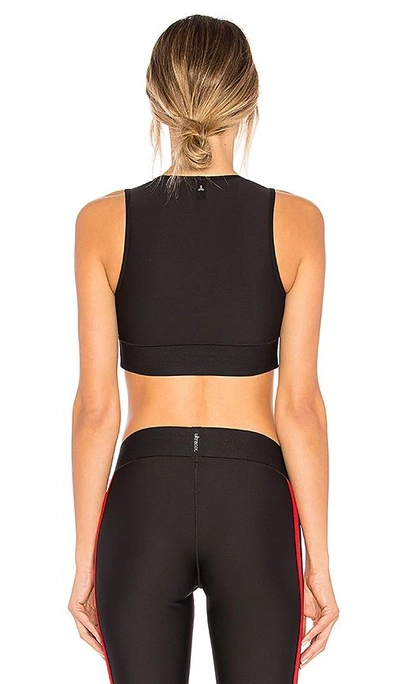 Shop Ultracor Collegiate Sports Bra In Black