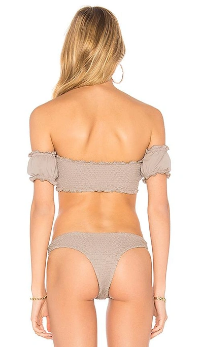 Shop Chloe Rose Honey Bikini Top In Grey