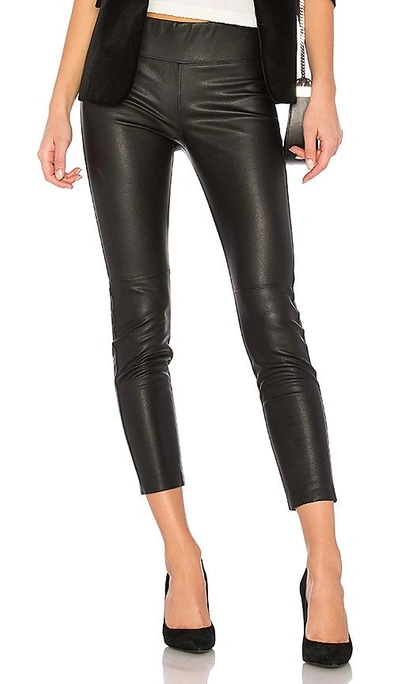 Shop David Lerner Pull On Legging In Classic Black