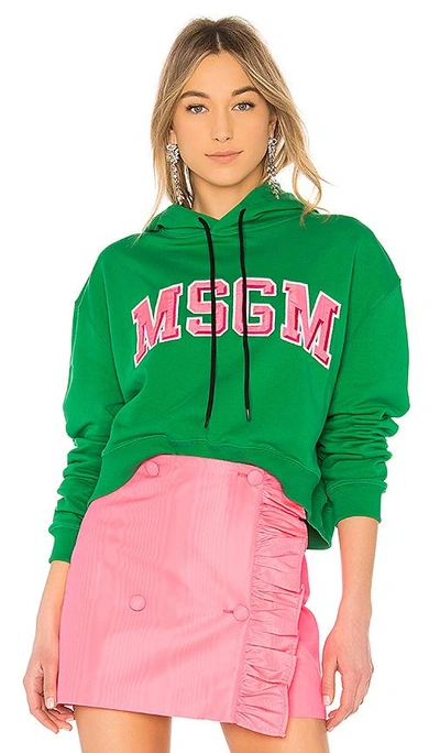 Shop Msgm Cropped Logo Sweatshirt In Green