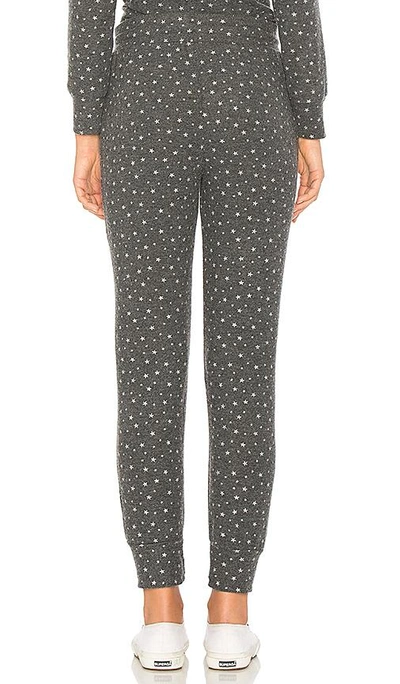 Shop Sundry Star Joggers In Gray