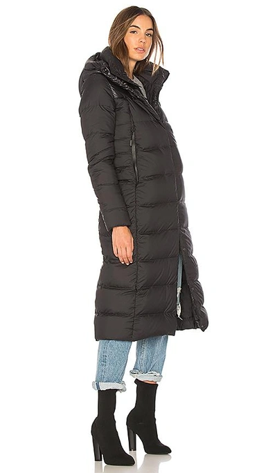 Shop The North Face Cryos Down Parka In Black