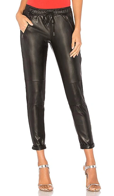 Shop David Lerner Track Pant In Classic Black