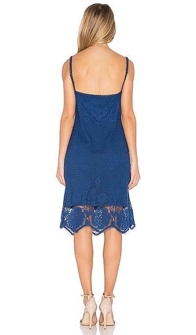 Shop Bb Dakota Cassia Dress In Blue