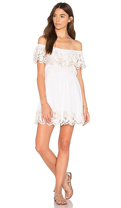 Shop Cleobella Olimpia Dress In White