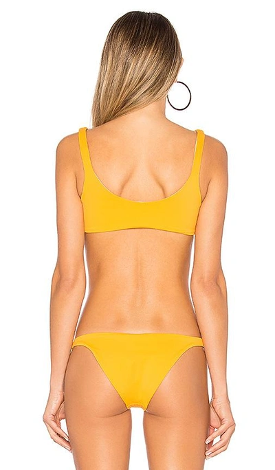 Shop Skye & Staghorn Aaya Crop Bikini Top In Yellow