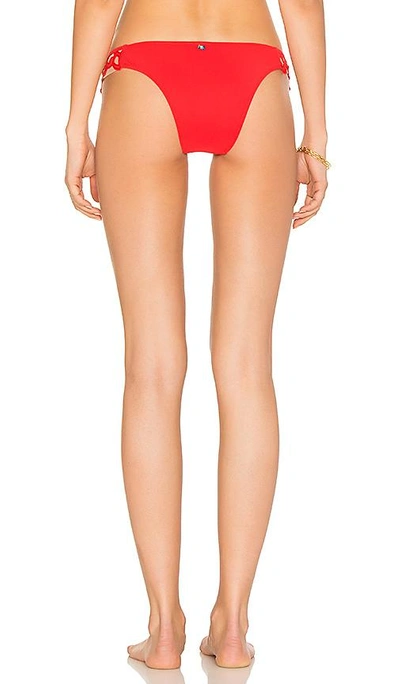 Shop Sauvage Rio Bottom In Red