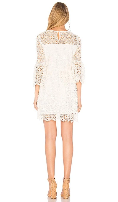 Shop Bb Dakota Jack By  Lauper Dress In Off White
