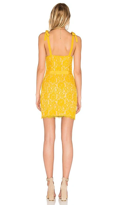 Shop Endless Rose Tied Strap Lace Mini Dress In Yellow