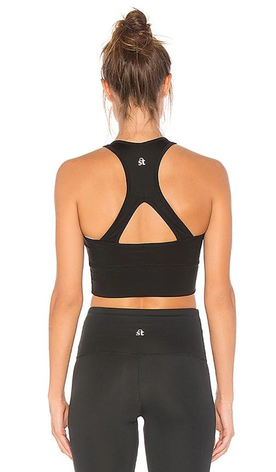 Shop Strut This Stars Sports Bra In Black