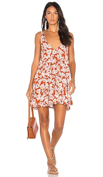 Acacia havana dress top